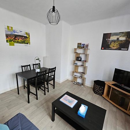 Apartmán Le Nid Des Cigognes A Colmar Centre, Proche Gare, Marches De Noel Exteriér fotografie